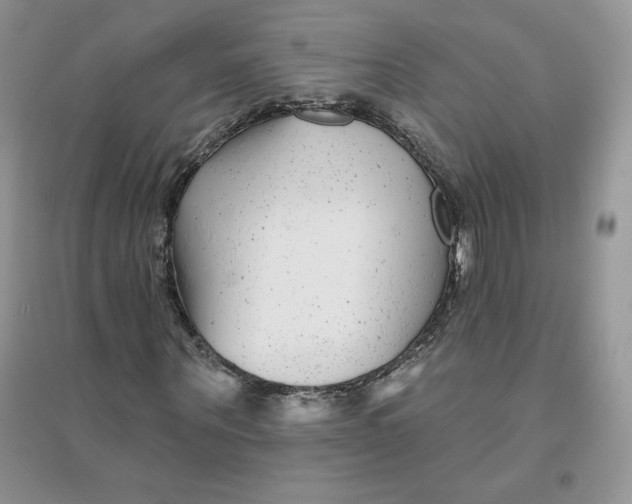 X0000096170867200802081409