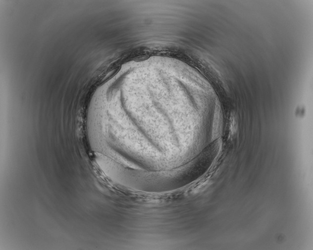 X0000096170868200802081409