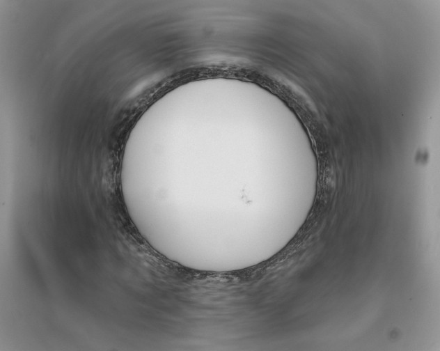 X0000096170869200802081409