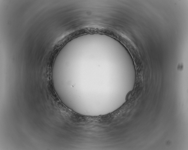 X0000096170870200802081409