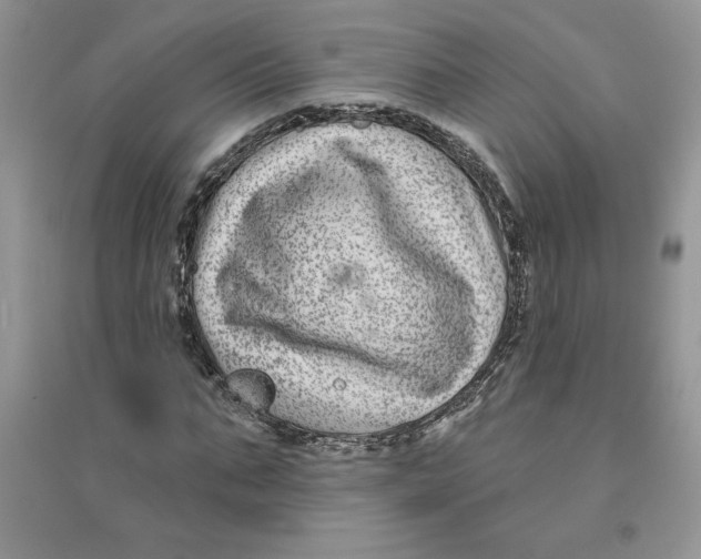 X0000096170871200802081409