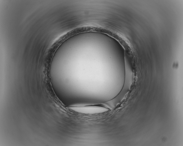 X0000096170872200802081409