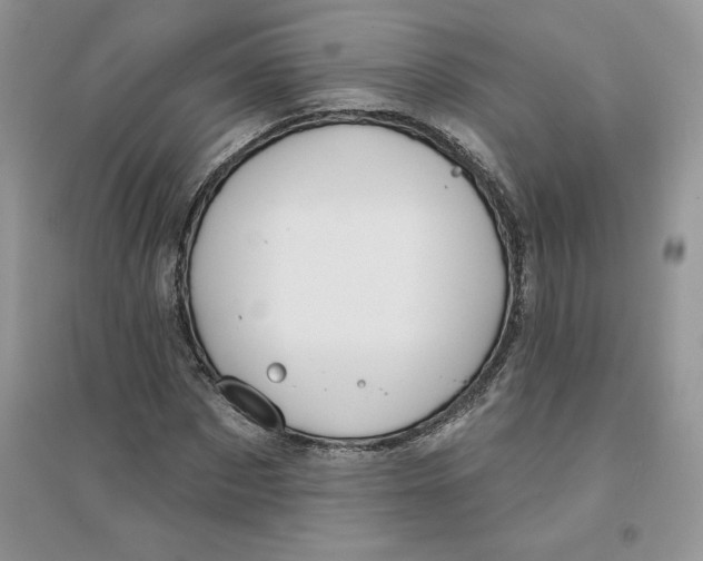 X0000096170873200802081409