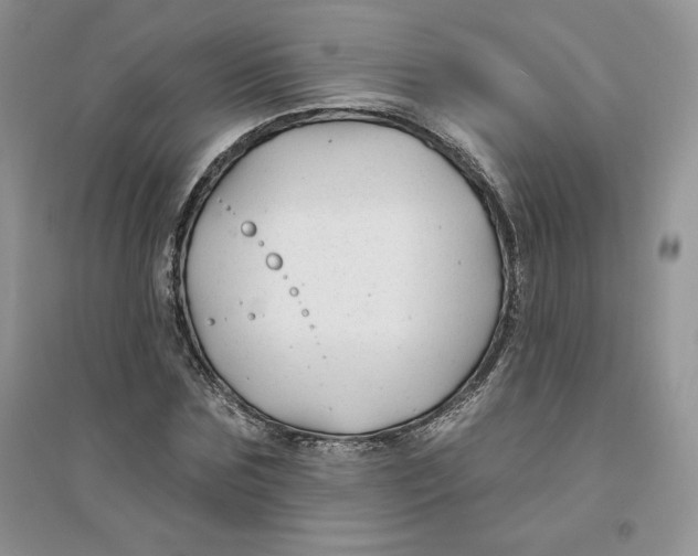 X0000096170875200802081409