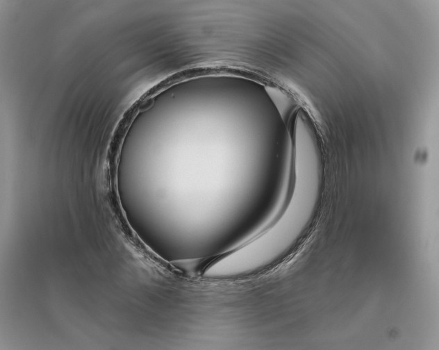 X0000096170876200802081409