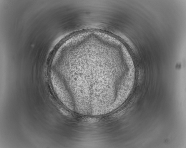 X0000096170878200802081409