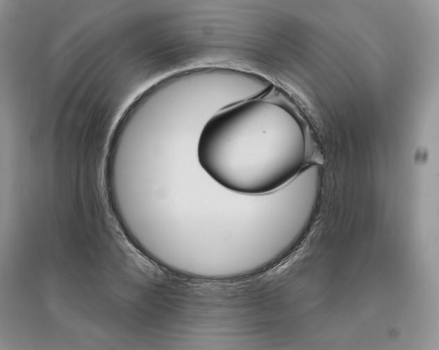 X0000096170880200802081409