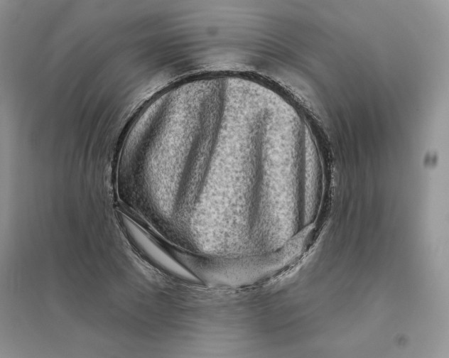 X0000096170881200802081409