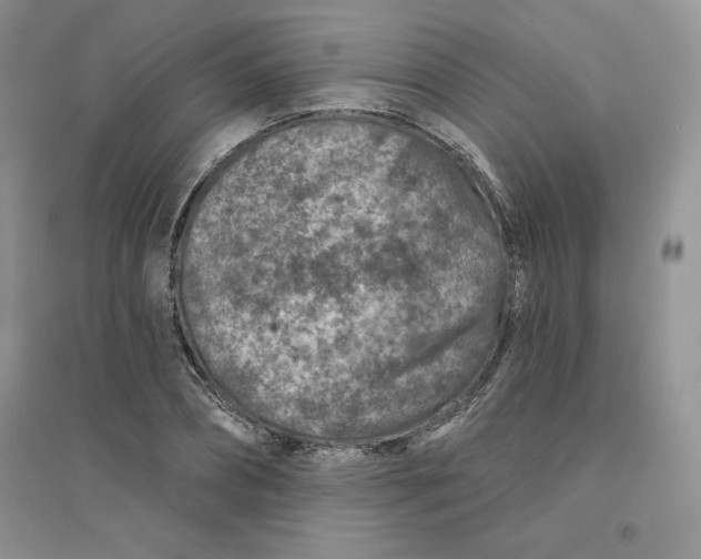 X0000096170882200802081409