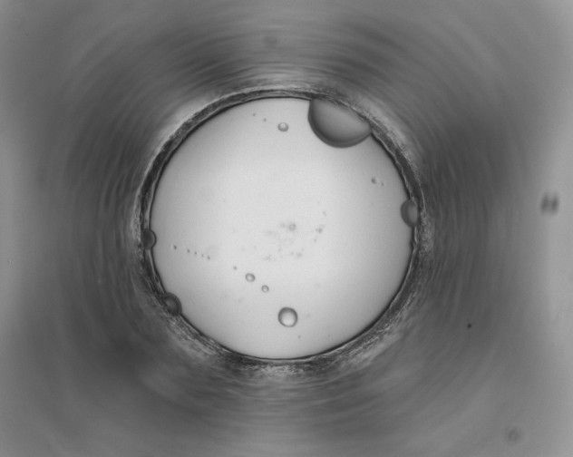 X0000096170883200802081409