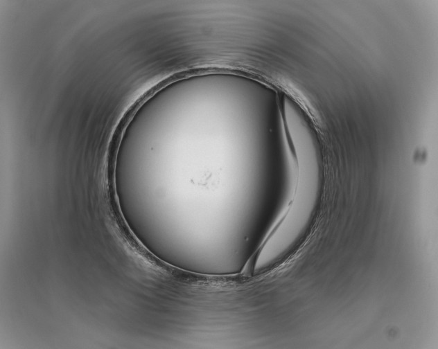 X0000096170884200802081409