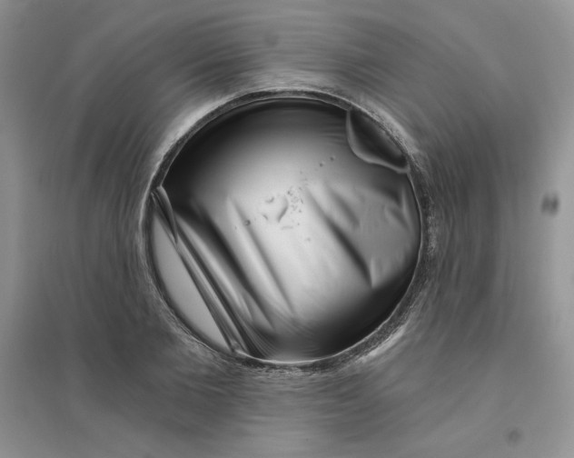 X0000096170885200802081409