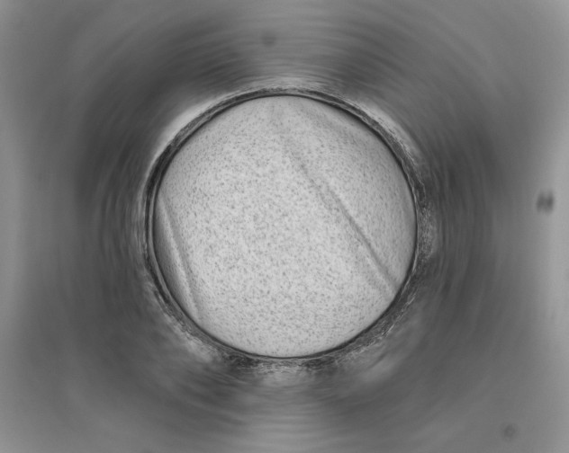 X0000096170886200802081409