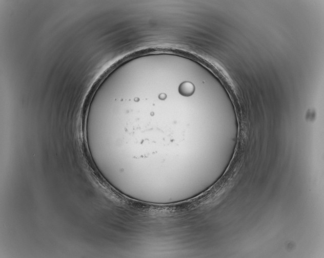 X0000096170887200802081409