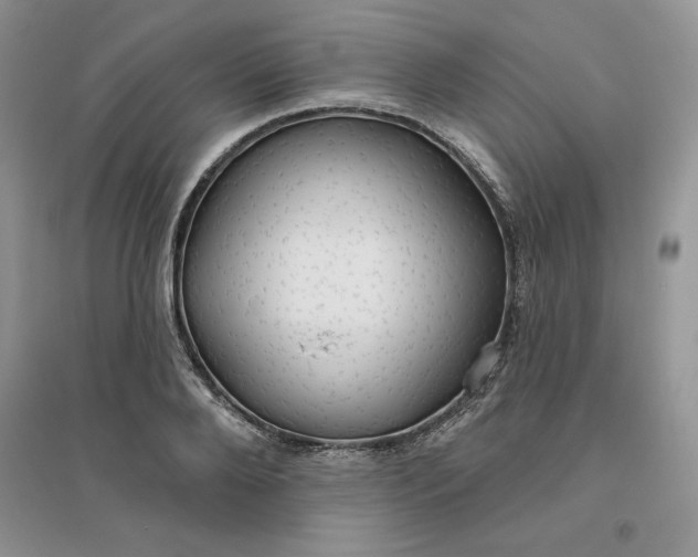 X0000096170888200802081409