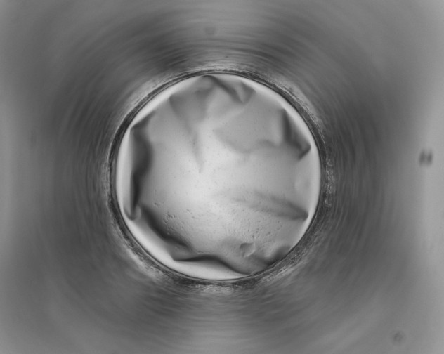 X0000096170890200802081409