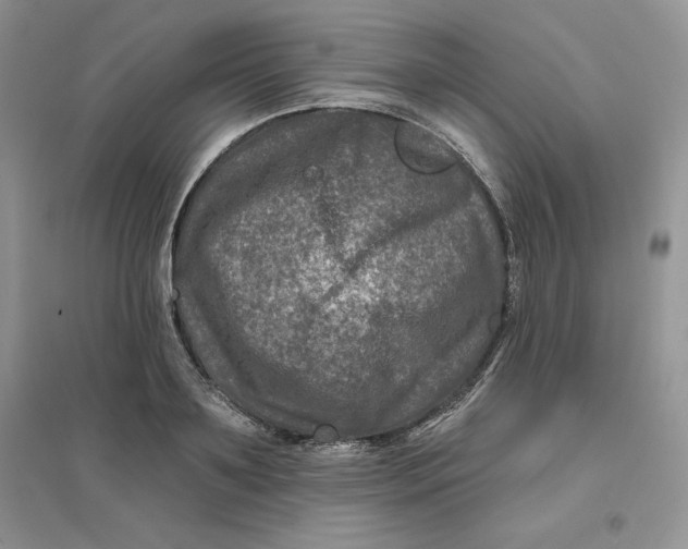 X0000096170891200802081409