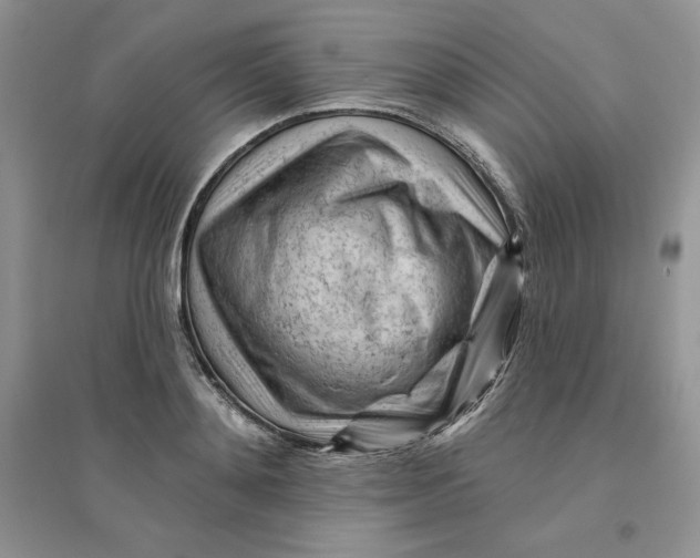 X0000096170892200802081408