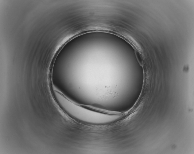 X0000096170893200802081408