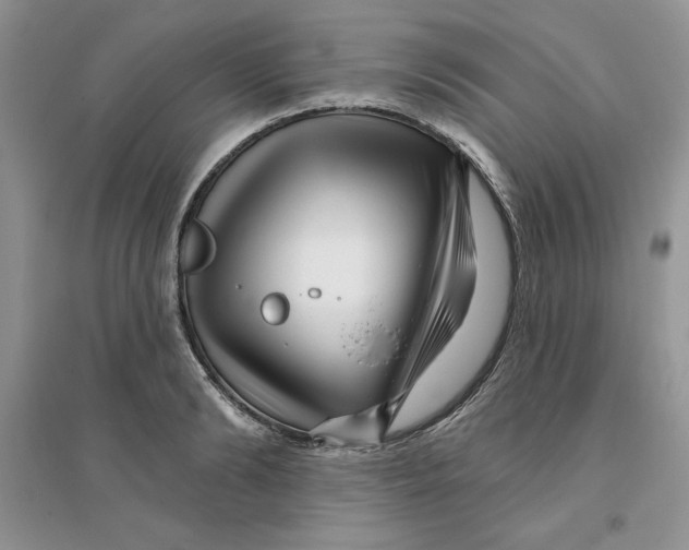 X0000096170894200802081408