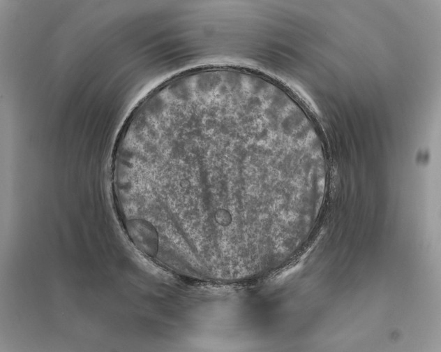 X0000096170895200802081408