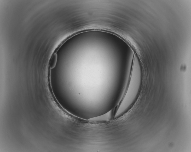 X0000096170896200802081408