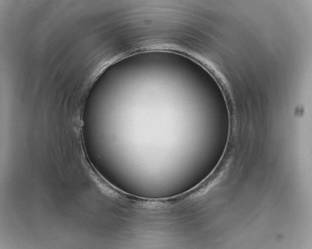 X0000096170897200802081408