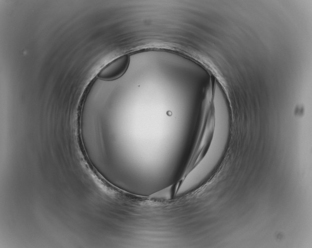 X0000096170898200802081408