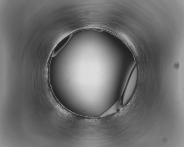 X0000096170900200802081408