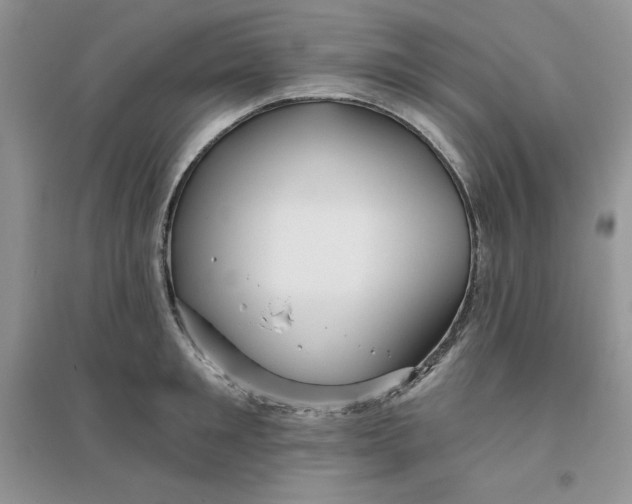 X0000096170901200802081408