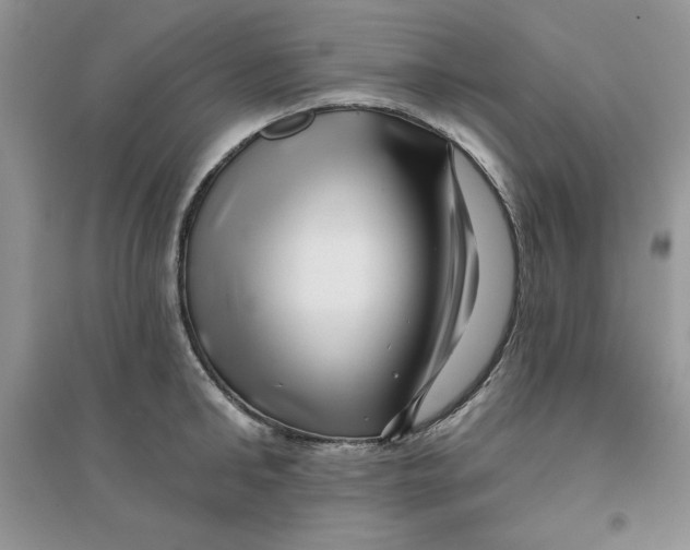 X0000096170902200802081408