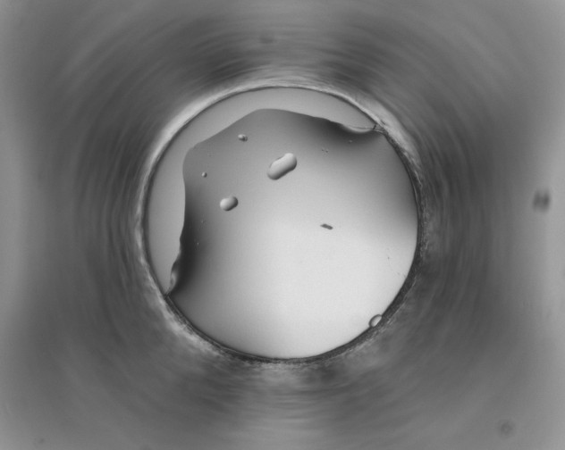 X0000096170904200802081408