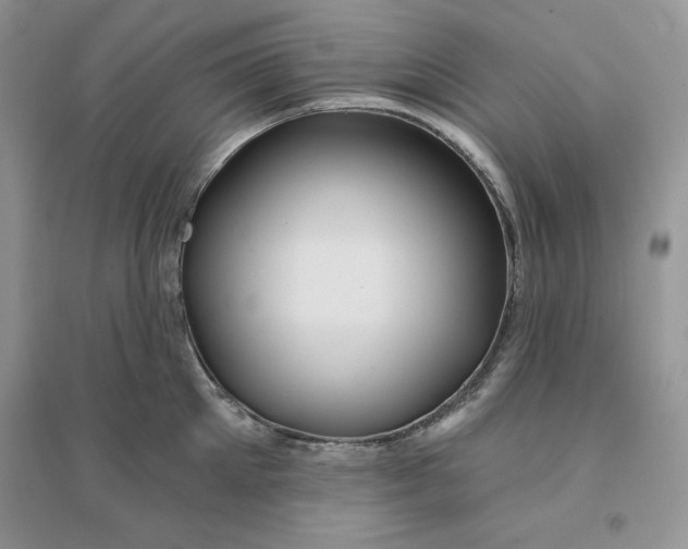 X0000096170905200802081408