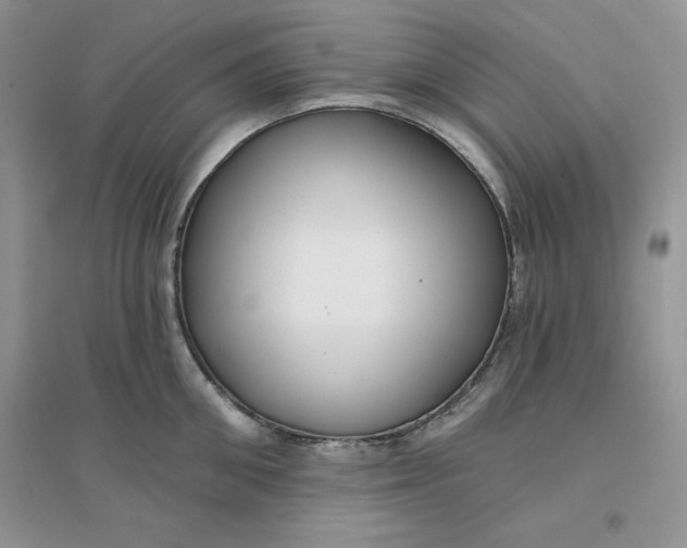 X0000096170906200802081408