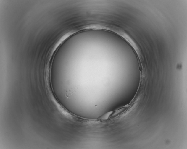 X0000096170909200802081408