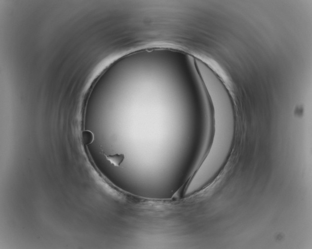 X0000096170910200802081408