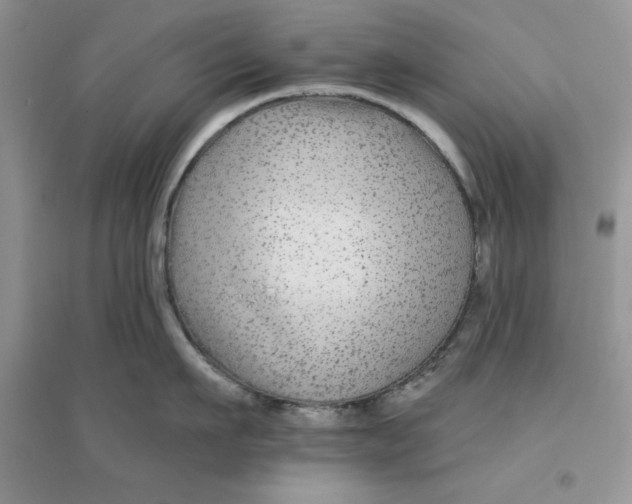 X0000096170911200802081408