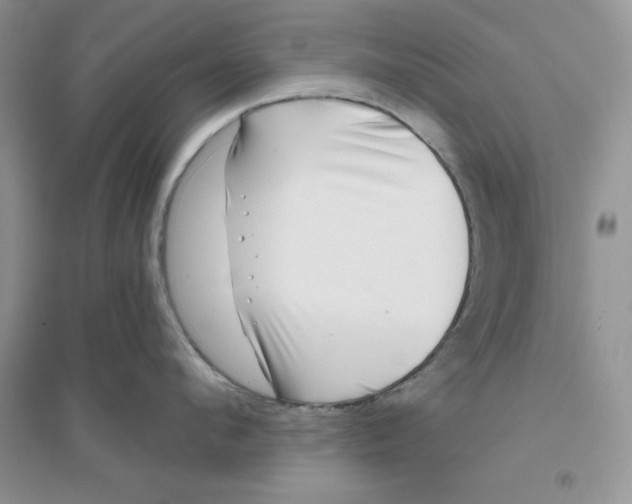 X0000096170912200802081408