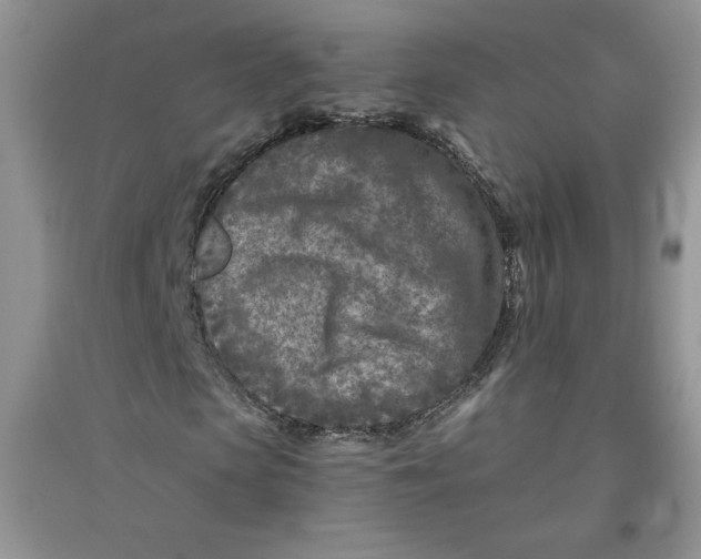 X0000096170913200802081408