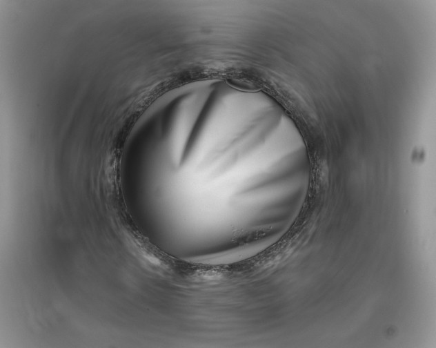 X0000096170914200802081408