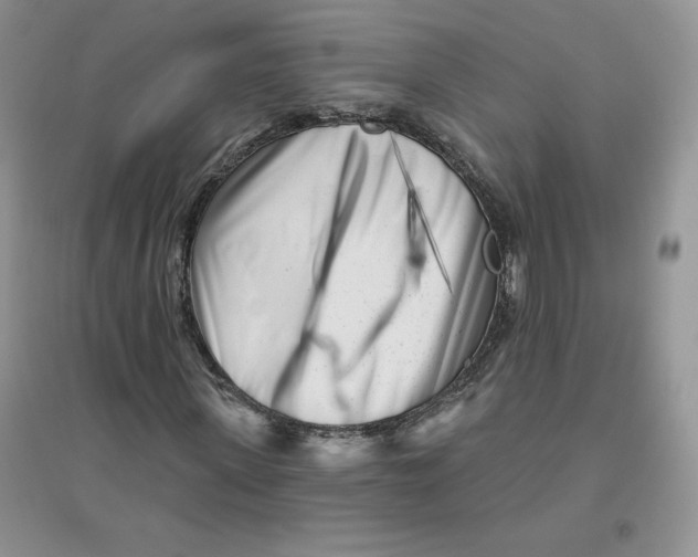 X0000096170915200802081408