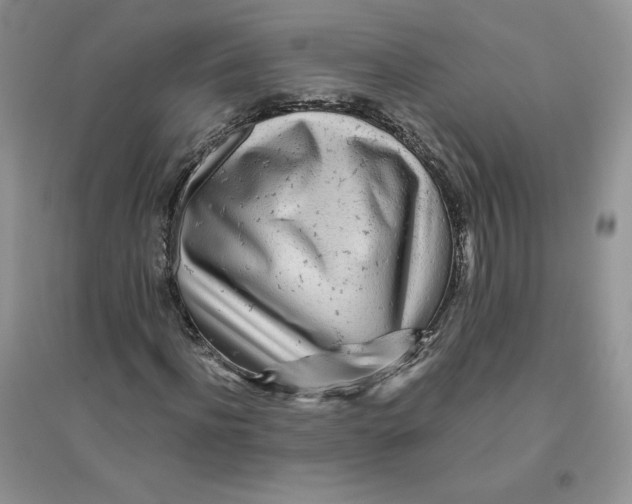 X0000096170916200802081408