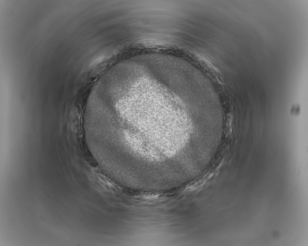 X0000096170917200802081408