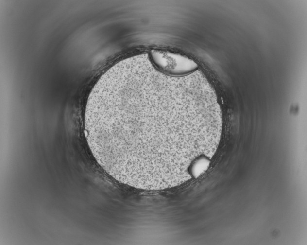 X0000096170918200802081408