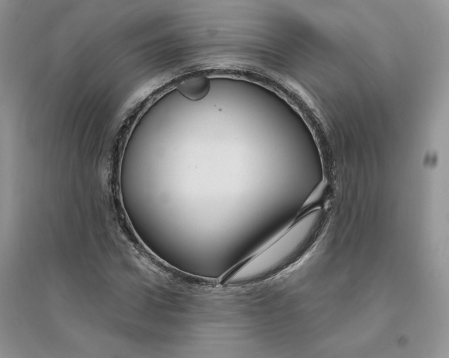 X0000096170922200802081408