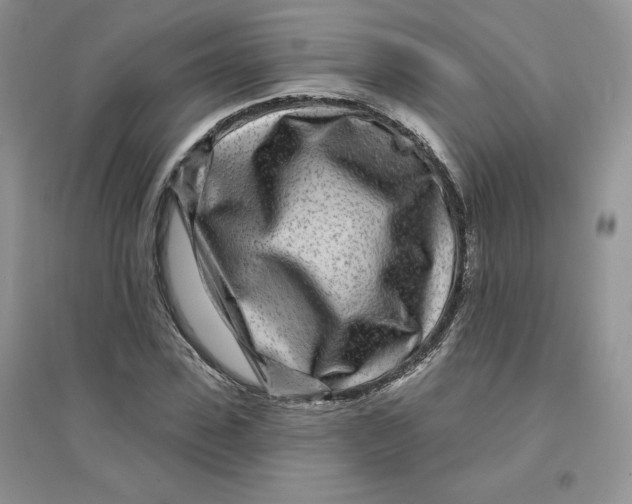 X0000096170923200802081408