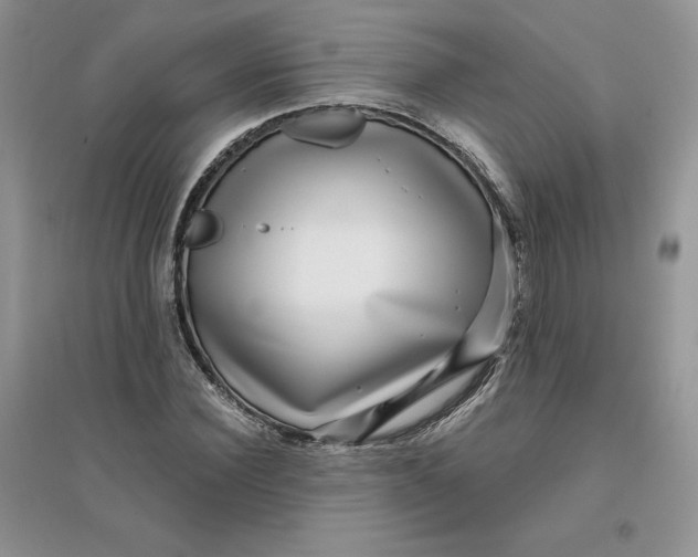 X0000096170924200802081408