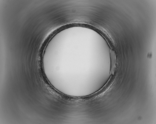 X0000096170926200802081408