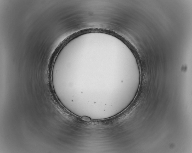 X0000096170927200802081408