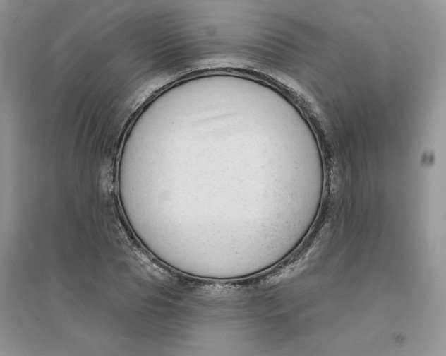 X0000096170929200802081408